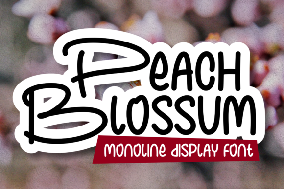 Peach Blossum: A Playful Handwritten Font for Crafters and Sellers