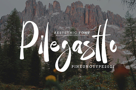 Pilegastto: A Bold Script Handwritten Font for Creative Projects