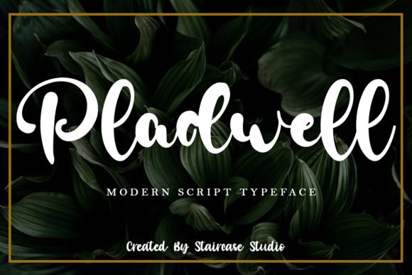 Pladwell: A Bold Handwritten Font That Elevates Small Business Branding