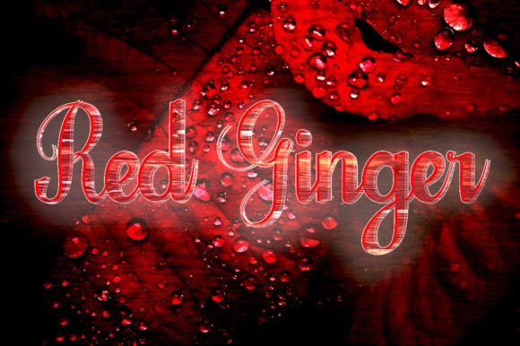Red Ginger: A Timeless Script Handwritten Font for Web and Digital Branding