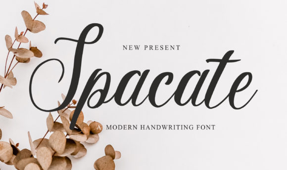 Spacate: A Charming Handwritten Font for Elegant Web Design